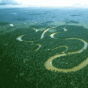 Brazilian Environment