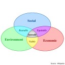 Sustainable development: environment, society and economy