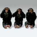 no-evil-deniers