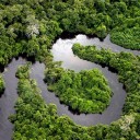 amazon-forest-river