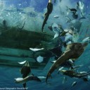 Picture of overfishing by the WWF