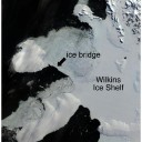 Wilkins ice shelf