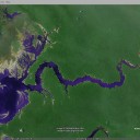 Amazon rainforest as seen on Google Earth