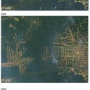 Deforestation in the Rondonia State, western Brazil, from 2000 to 2008. Photo credit: NASA