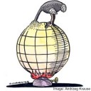 Ostrich-climate-change-mitigation