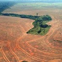 deforestation-amazon-rainforest