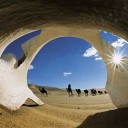 sahara-desert-camels
