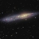 NGC55-600