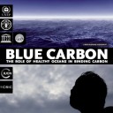 Blue carbon healthy oceans UNEP report