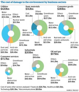 A breakdown of the environmental costs