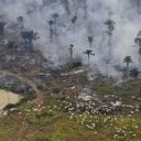Deforestation of the Amazon is decreasing again