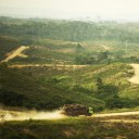 Deforestation in Indonesia