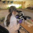 Sara Volz in her biofuels lab