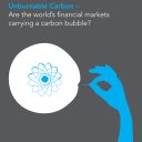 Carbon bubble report