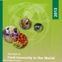 UN FAO Food insecurity in the world 2013 report