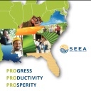 SEEA Report on energy efficiency