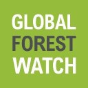 global forest watch logo