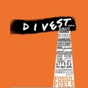 Reasons to divest
