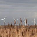 Wind turbines in Camargue, France - square